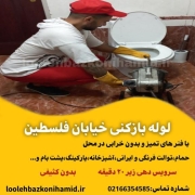 لوله بازکنی خیابان فلسطین