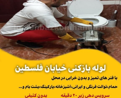 لوله بازکنی خیابان فلسطین