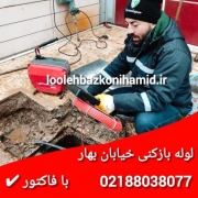 لوله بازکنی بهار