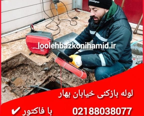 لوله بازکنی بهار