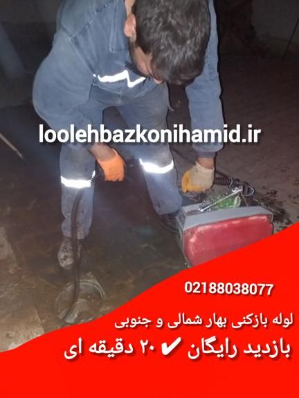 لوله بازکنی بهار شمالی و جنوبی