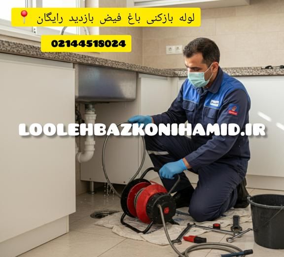 لوله بازکنی باغ فیض تهران